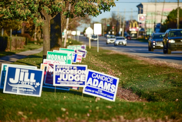 A row of campaign yard signs along a roadside
